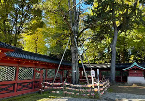 根津神社