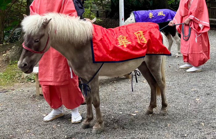 平塚八幡宮