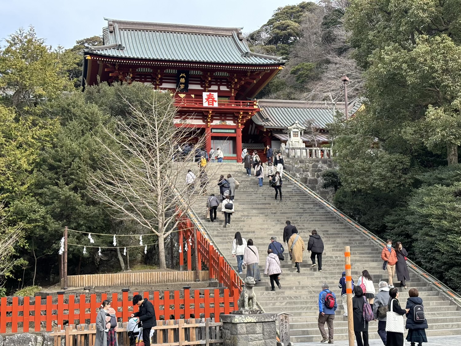 歴史と四季折々の自然の名所!鎌倉鶴岡八幡宮