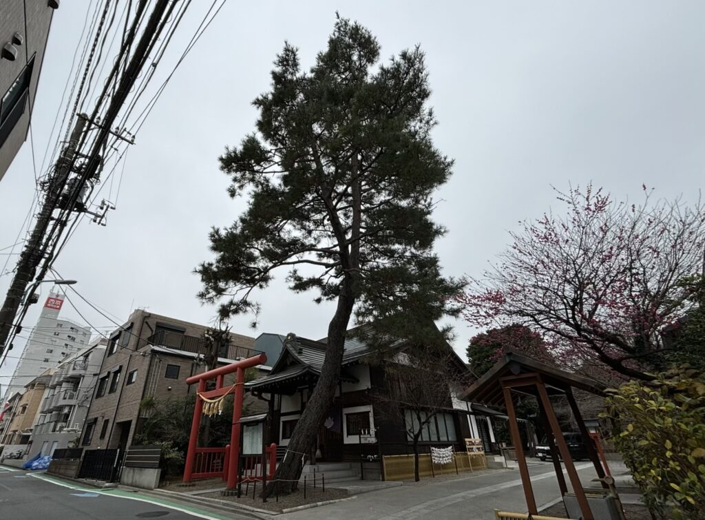 阿佐ヶ谷　猿田彦神社