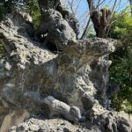 横浜散歩②中村八幡宮の迫力ある岩と獅子山江戸狛犬