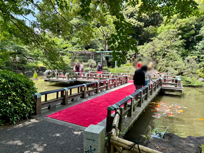 渋谷　東郷神社　神池
