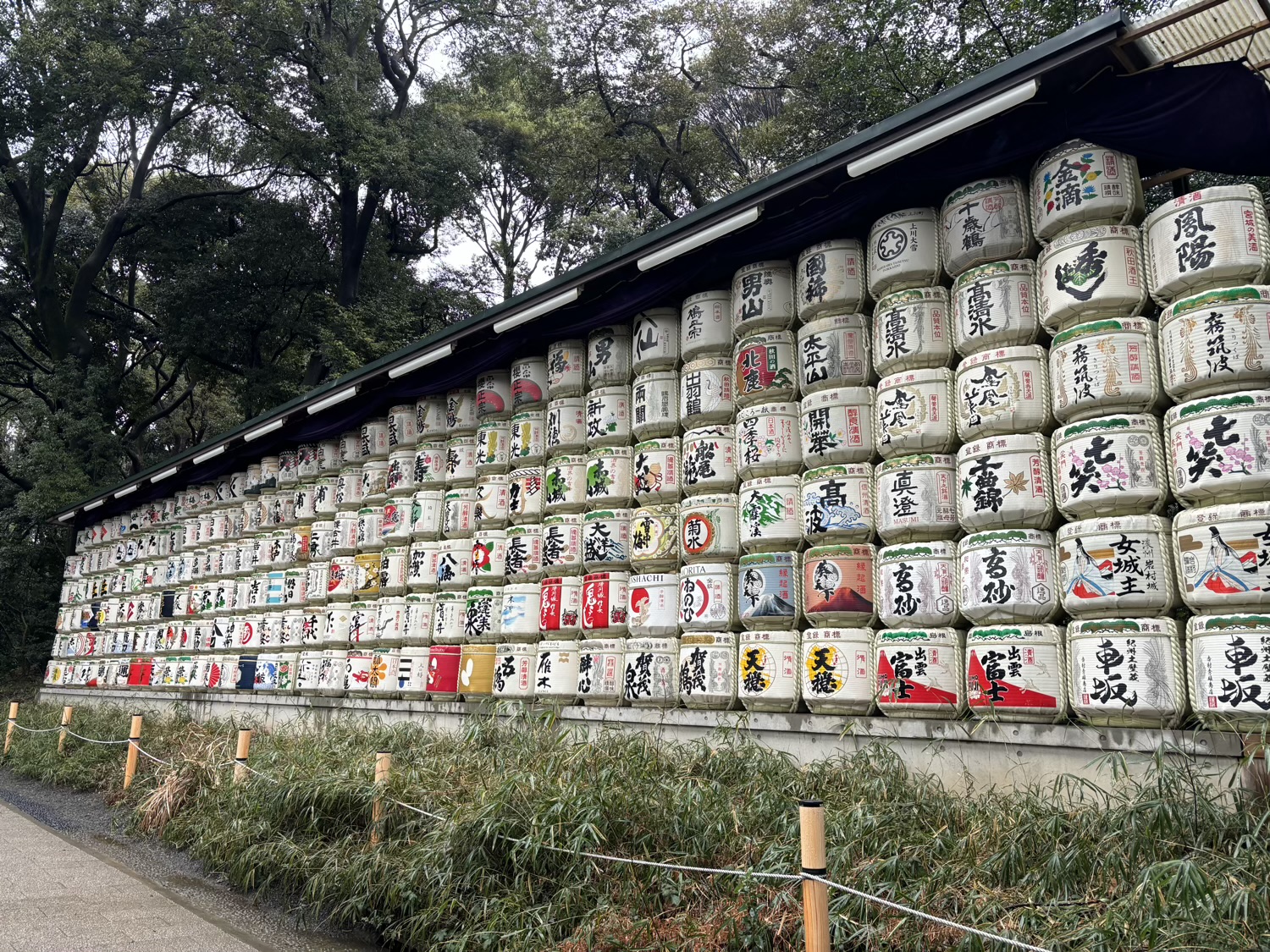 渋谷　明治神宮　奉献酒樽