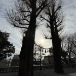 東京散歩⑨代田八幡神社といえば福猫「ふくちゃん」！