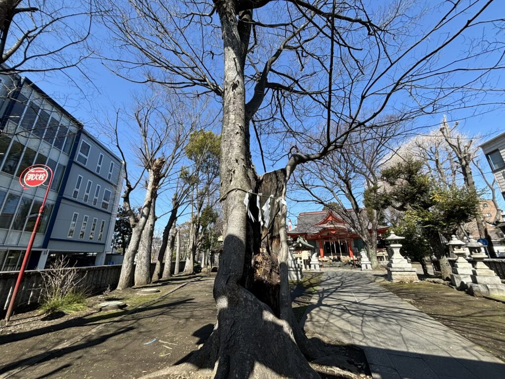 戸部杉山神社