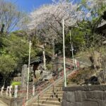 【藤沢】遊行寺の守護神！神仏習合の歴史が続く藤澤諏訪神社