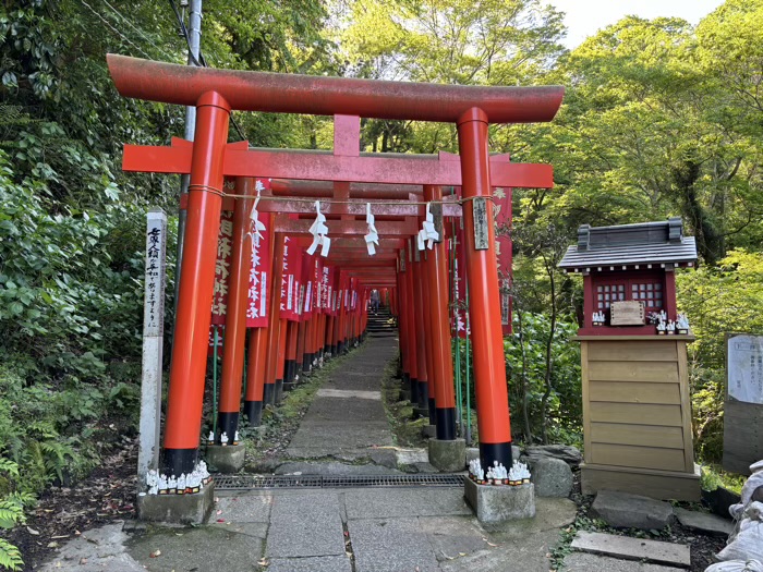 佐助稲荷神社　鳥居