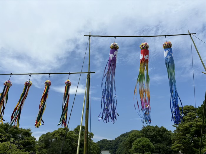 鎌倉　鶴岡八幡宮　七夕