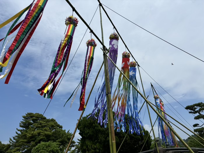 鎌倉　鶴岡八幡宮　七夕