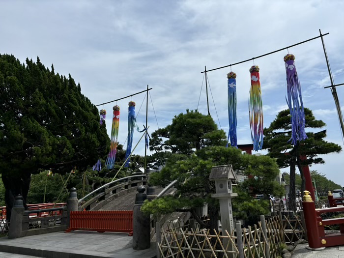 鎌倉　鶴岡八幡宮　七夕