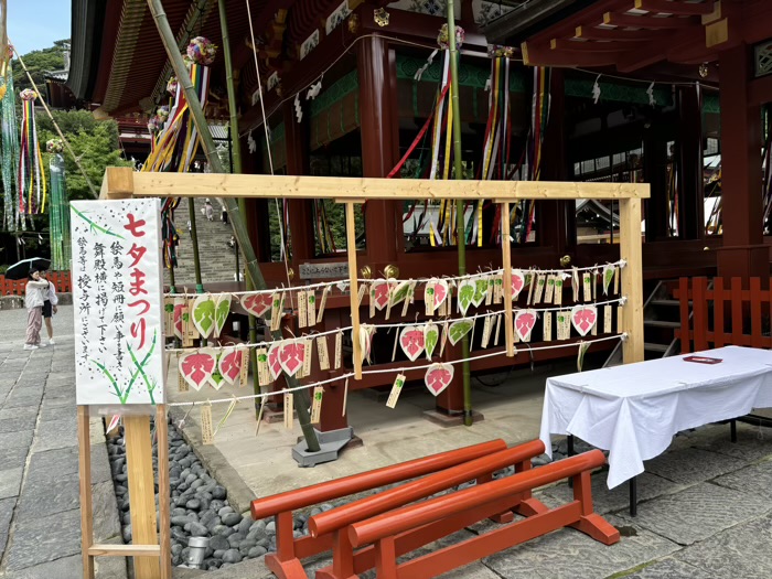 鎌倉　鶴岡八幡宮　七夕