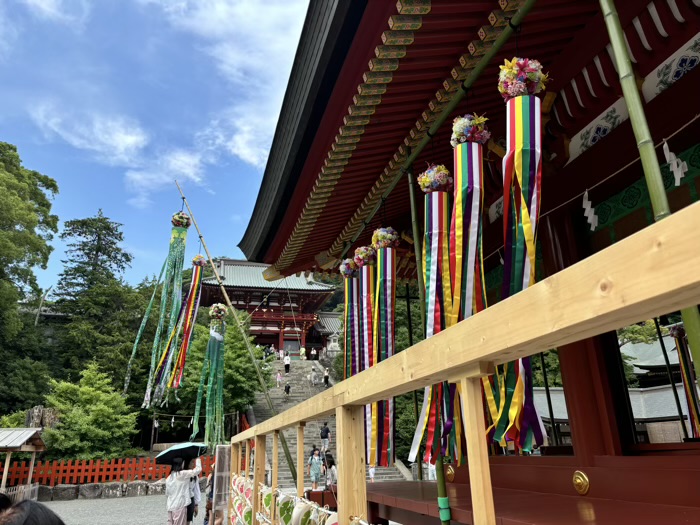 鎌倉　鶴岡八幡宮　七夕