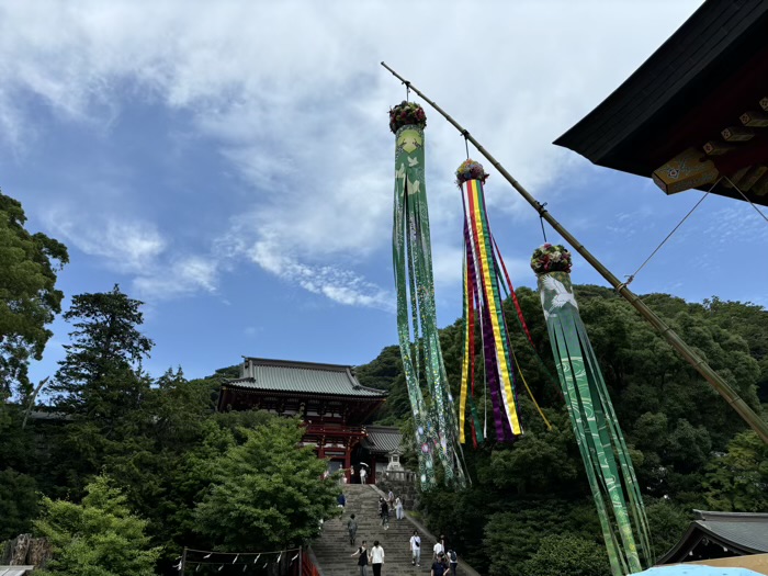 鎌倉　鶴岡八幡宮　七夕