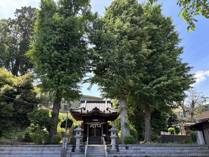 菊名　八杉神社