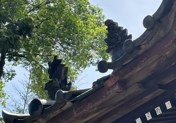 菊名　八杉神社