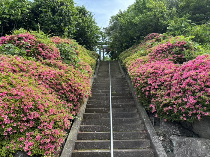 福徳稲荷社（観音寺）