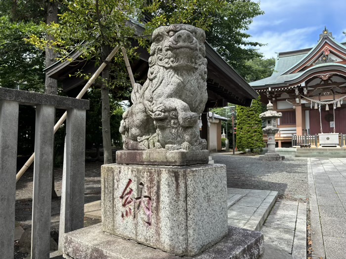 高ヶ坂熊野神社　狛犬