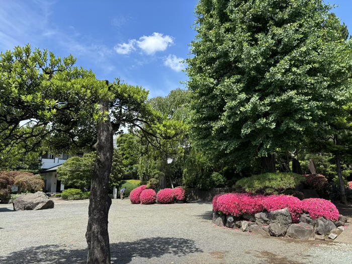 青柳寺　境内