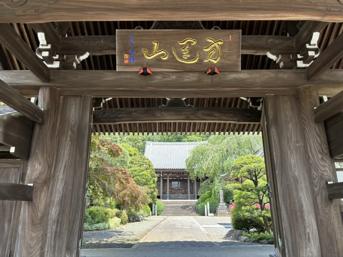 青柳寺　山門