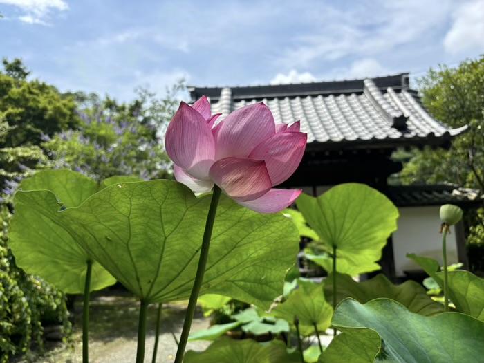 覚園寺　山門