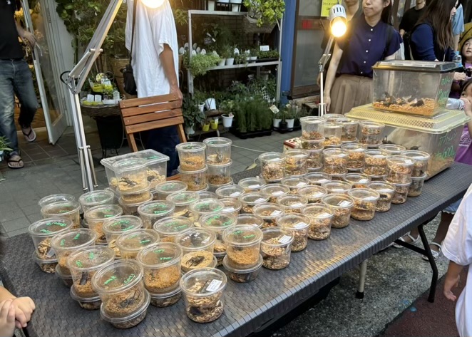 願成寺　日限地蔵尊縁日