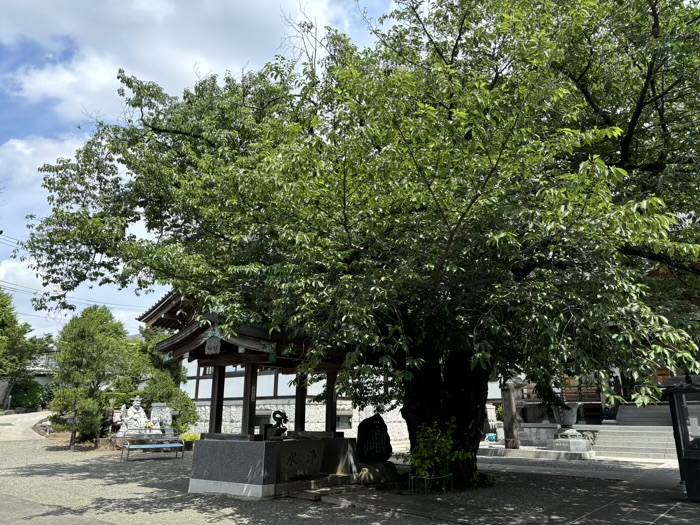 長津田　慈雲山大林寺　手水舎