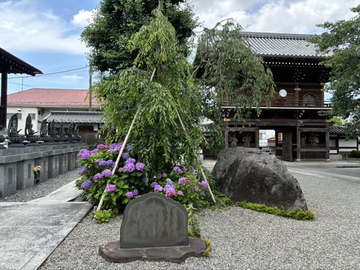 長津田　慈雲山大林寺