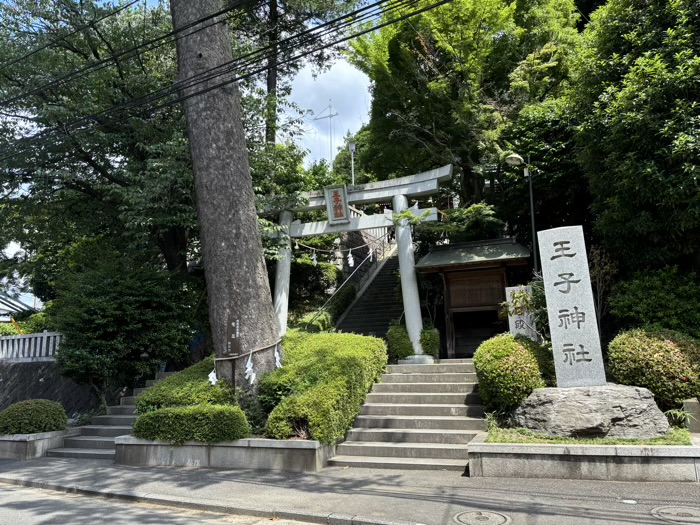 長津田　王子神社　モミの木と一の鳥居