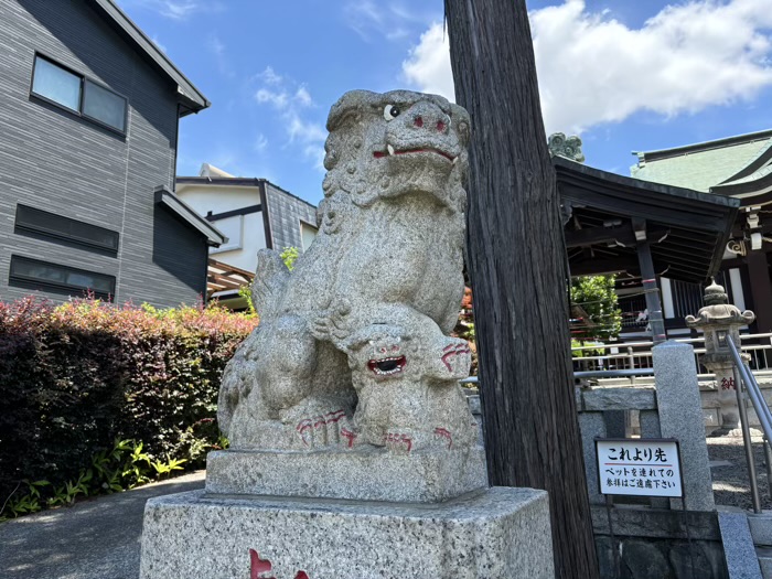 つくし野杉山神社　狛犬