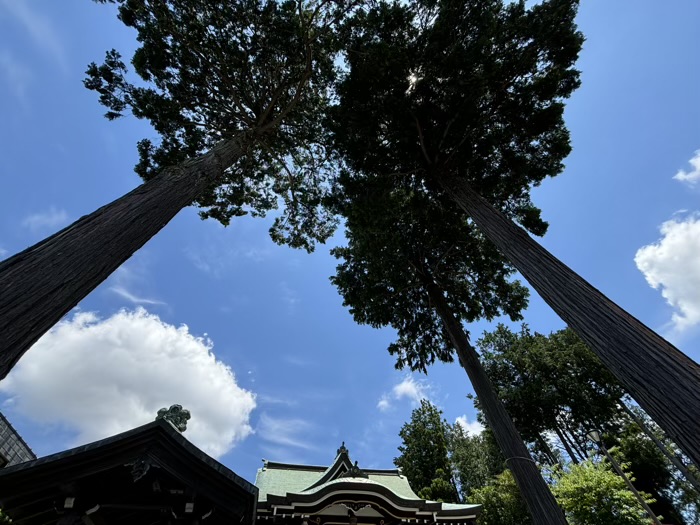 つくし野杉山神社