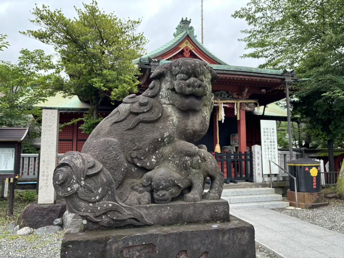 横浜　浅間神社　狛犬