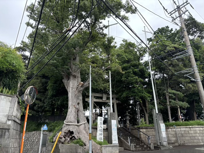 篠原八幡神社