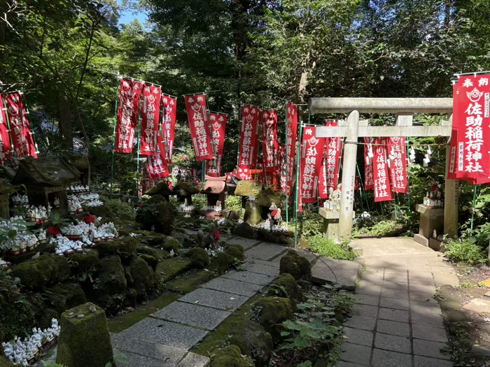 佐助稲荷神社　工事中