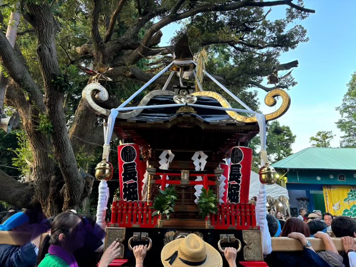 下鶴間諏訪神社　例大祭　神輿