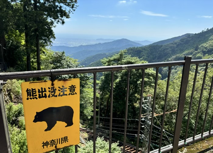 大山阿夫利