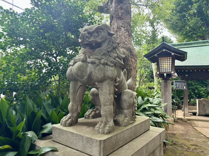 東京・奥沢　奥澤神社　狛犬