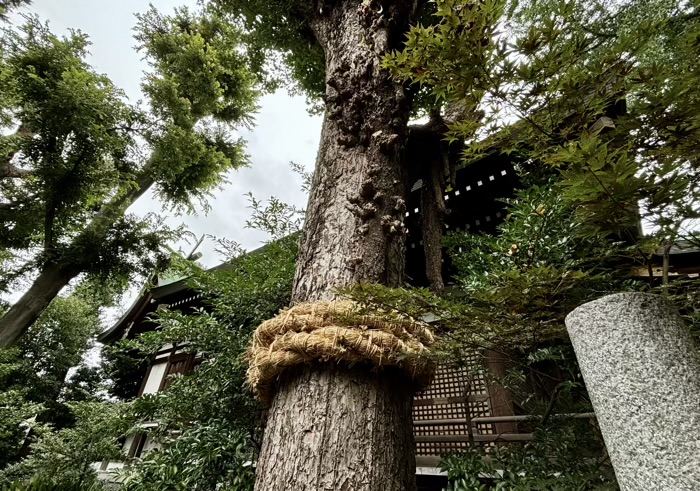 東京・奥沢　奥澤神社