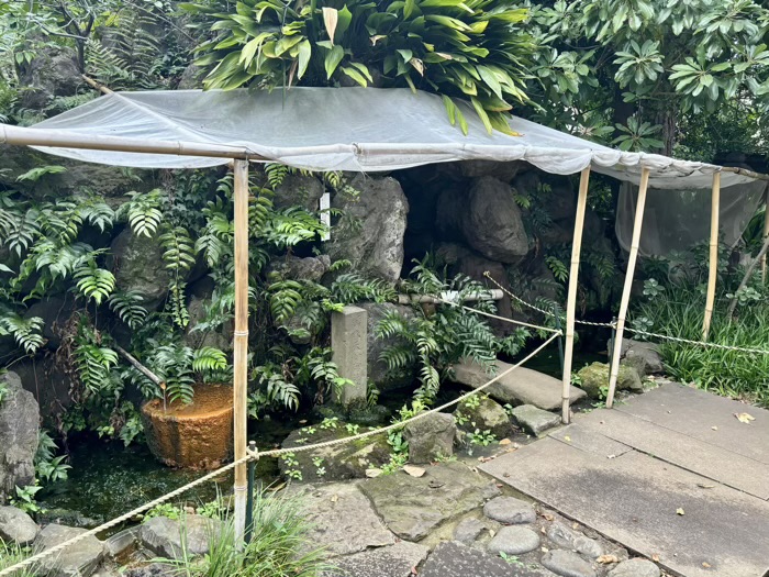 東京・奥沢　奥澤神社　弁才天社「福寿弁天」