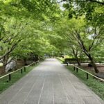 東京・世田谷　九品仏浄真寺