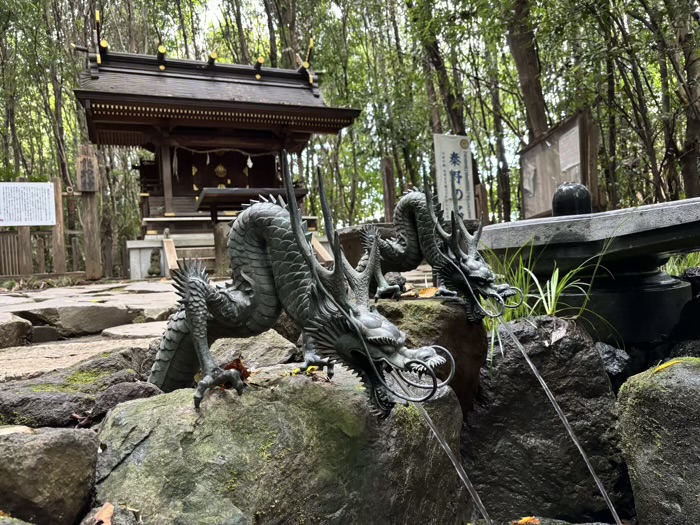 秦野　出雲大社相模分祠　龍蛇神の社