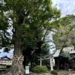 秦野　出雲大社相模分祠　八坂神社