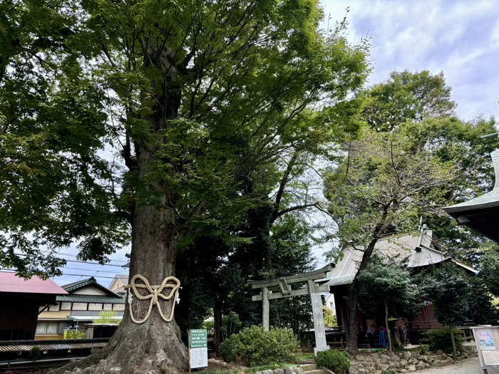 秦野　出雲大社相模分祠　八坂神社