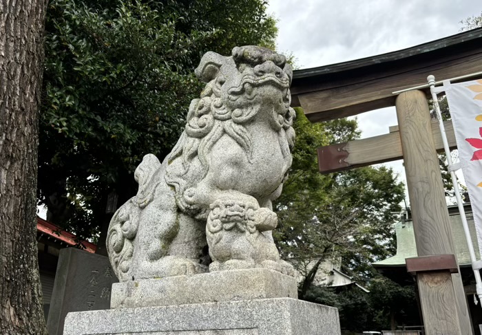 秦野　出雲大社相模分祠　御嶽神社　狛犬