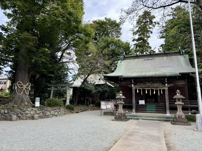 秦野　出雲大社相模分祠　御嶽神社　八坂神社