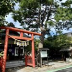 阿佐ヶ谷　猿田彦神社