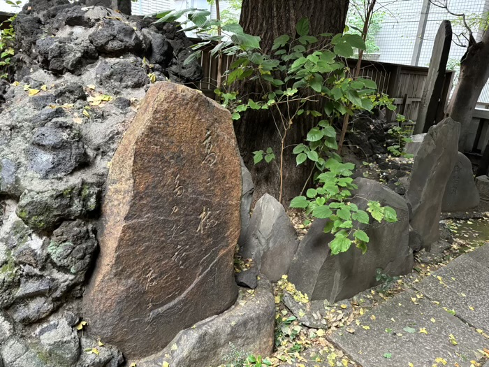 新宿　稲荷鬼王神社　浅間神社（西大久保の魔除け富士）