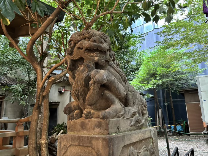 新宿　稲荷鬼王神社のえびすまつり（べったら市）　狛犬