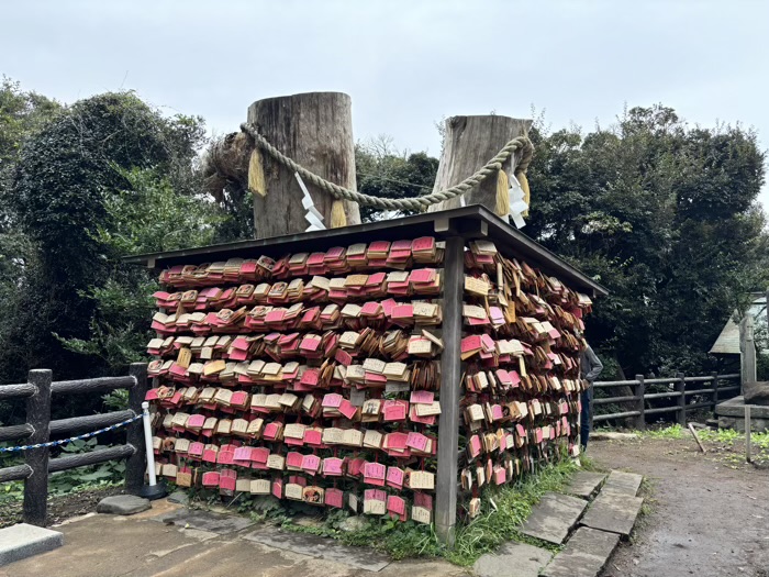 江ノ島　江島神社 辺津宮　むすびの樹