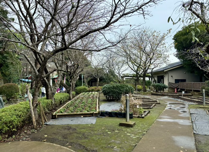 江ノ島　江島神社 中津宮広場