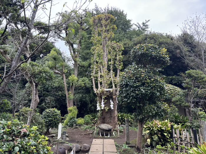 江ノ島　江島神社 奥津宮　亀石